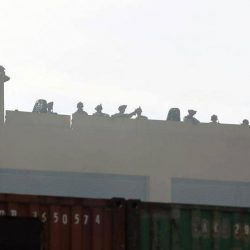 وقف محمد السبيعي يدخل في شراكة خيرية مع جمعية الأطفال زارعي القوقعة