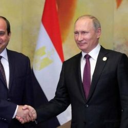مصر والجزائر تتفقان على رفض التدخل الأجنبي في ليبيا