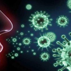 381 وفاة جديدة في المملكة المتحدة جراء فيروس كورونا خلال 24 ساعة