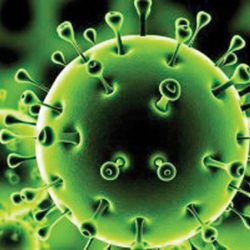 كبار العلماء تؤكد أهمية الوعي الفردي والمجتمعي نحو تطبيق الإجراءات الاحترازية والوقائية لمنع انتشار فيروس كورونا الجديد