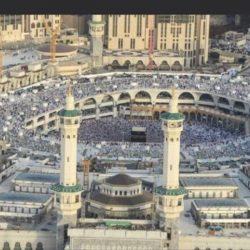 مستشار الرئيس المصري يعلن بدء تجارب علاج مرضى كورونا باستخدام بلازما المتعافين مستشار الرئيس المصري يعلن بدء تجارب علاج مرضى كورونا باستخدام بلازما المتعافين