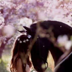 نادي الإعلاميين السعوديين ينظم لقاء معايدة لمنسوبيه “عن بعد” نادي الإعلاميين السعوديين ينظم لقاء معايدة لمنسوبيه “عن بعد”