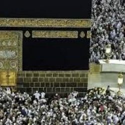 #الكرملين: #بوتين وترامب لم يناقشا الاحتجاجات في الولايات المتحدة
