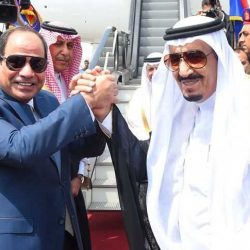 نصف مليون مستفيد من حملة «عدن أجمل» في 62 يوماً