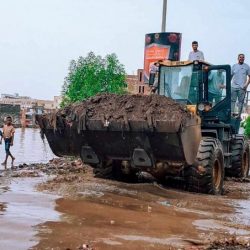 #مصر :  نجاح تجربة حقن المصابين بـ #فيروس_كورونا من الحالات الحرجة بـ #بلازما المتعافيين