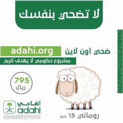جمعية البيئة السعودية المظلة الشرفية والشريك البيئي لمبادرة “استراتيجية الحج الأخضر “