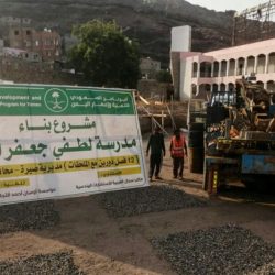 مصر تدين إطلاق الحوثيين صواريخ باتجاه السعودية