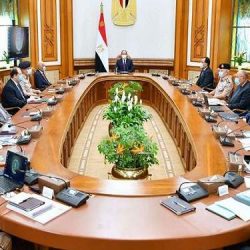شكري يؤكد لنظيره الصيني ضرورة التصدي للتدخلات الأجنبية في ليبيا