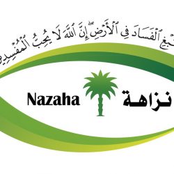 بوتين يبحث مع رئيس وزراء اليونان قضية “آيا صوفيا” والتسوية في ليبيا