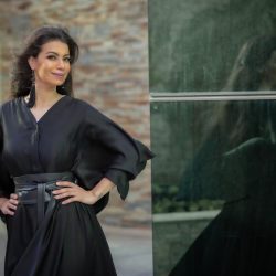 إطلاق نار كثيف يخلف 13 مصابًا في ولاية إيلينوي الأمريكية
