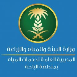أبو الغيط يستقبل أسرة الشهيد أحمد منسي.