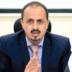 الأمير خالد الفيصل .. يوجه بإزالة المواقع الصناعية المخالفة داخل أحياء المحافظات