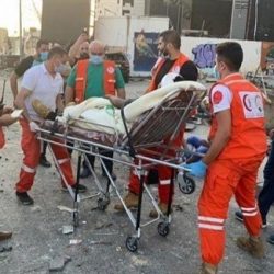 عبدالله بن زايد يهنئ هاتفيا سامح شكري بمناسبة توقيع اتفاق تعيين الحدود البحرية بين مصر واليونان