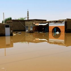 فدرالية  الأمم المتحدة تمنح ( رند بني علي ) لقب سفيرة السلام  العالمي