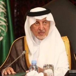 وزير الزراعة: تكليفات رئاسية بالاهتمام بالثروة الحيوانية ورفع كفاءة المزارع لسد الفجوة من اللحوم الحمراء واستغلال الأصول المتاحة