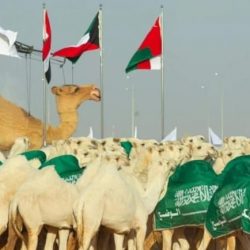 الحجرف: محاولات الحوثي استهداف السعودية انتهاك صارخ للقوانين