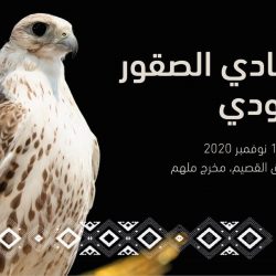 “كورونا” يحصد أرواح مليون و27 ألف شخص والإصابات تلامس 35 مليونًا