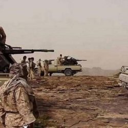 باكستان تعتقل إرهابيَّيْن خلال عمليتَيْن في كراتشي