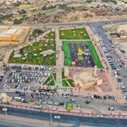 خادم الحرمين وولي العهد يهنئان الرئيس المصري بذكرى يوم العبور