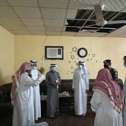  15 فيديو كليب جديد لأنغام على روتانا خليجية غدًا
