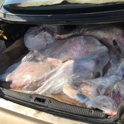 خادم الحرمين الشريفين يجري اتصالاً هاتفياً بملك مملكة البحرين