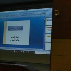 الاتحاد الاوروبي : كان لدى مهمة إيريني اسباب معقوله للإشتباه بالسفينة التركية