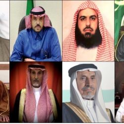 بلدية الشرائع تزيل 83 حظيرة عشوائية مخالفة