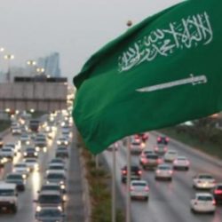 اتحاد المستثمرات العرب بالتنسيق مع الهيئة الهندسية للقوات المسلحة ينظما رحلة تلفريك فى حضن جبل الجلالة