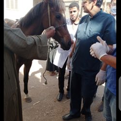 العراق.. مقتل ما لا يقل عن 11 في هجوم على موقع للجيش في بغداد