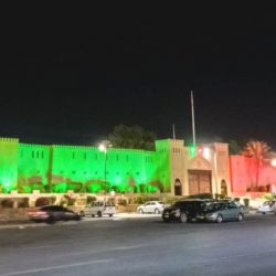 اليابان تعلن رسميا الأمير أكيشينو وليا للعهد