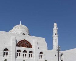 أمانة العاصمة المقدسة تواصل زراعة الزهور في ميدان زمزم