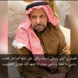 “التعاون الإسلامي” تدين استمرار مليشيا الحوثي في استهداف المملكة