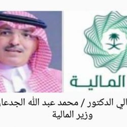 محافظ بارق يرعى إحتفال فريق «بوارق الخير» باليوم العالمي للتطوع