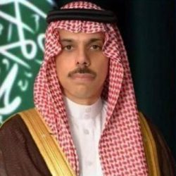 السعودية ومصر تؤكدان أهمية ضمان حرية الملاحة في الخليج