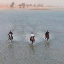 خادم الحرمين الشريفين يوجه الدعوة لسمو أمير دولة الكويت للمشاركة في الدورة الـ 41 للمجلس الأعلى لمجلس التعاون لدول الخليج العربية