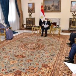 أسرة” الفلقي” تحتفل بزواج أحمد في قصر المملكة