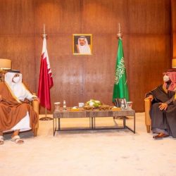 ملك مملكة البحرين يهنئ خادم الحرمين الشريفين بنجاح الدورة الـ 41 للمجلس الأعلى لمجلس التعاون