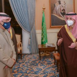 الخارجية المصرية : شكرى وقع بيان العلا وأكد تقدير مصر لكل جهد يبذل لتحقيق المصالحة