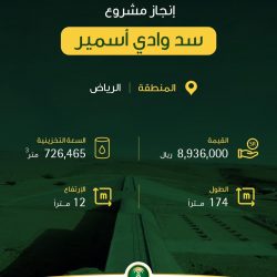 اجتماع طارىء لوزراء الخارجية العرب برئاسة مصر يوم ٨ فبراير المقبل لتعزيز التضامن العربي
