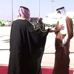 وزير الخارجية سامح شكرى يصل بعد قليل السعودية للمشاركة فى القمة الخليجية