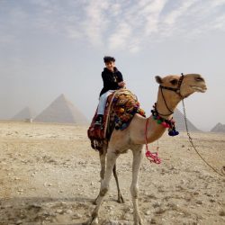 ترمب يؤكد: انتقال السلطة سيحصل بشكل منظم