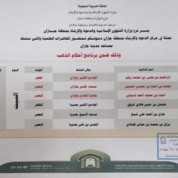 برئاسة سمو ولي العهد .. صندوق الاستثمارات العامة يقر الاستراتيجية للصندوق لخمسة أعوام قادمة