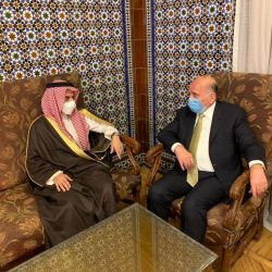 كلمة وزير الخارجيةالمصري  خلال اجتماع مجلس جامعة الدول العربية على المستوى الوزاري في دورته غير العادية المُنعقدة الان