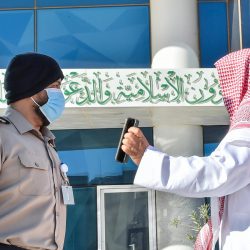 وزير الخارجية السعودي والفلسطيني يجتمعان على هامش الوزاري الطارئ