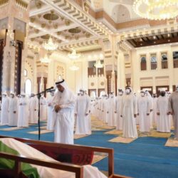 حملة تشجير وبرامج متنوعة بفرع الجامعة بتهامة حملة تشجير وبرامج متنوعة بفرع الجامعة بتهامة