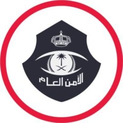 السفارة السعودية بالقاهرة للمواطنين.. تنظيم جديد لتأشيرات الدخول لمصر