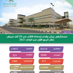 وزير الخارجية الأردني ونظيره المصري يبحثان التطورات الخطيرة التي تشهدها مدينة القدس المحتلة