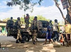 في اتصال مع الرئيس الصيني .. سمو ولي العهد : المملكة تعمل على تنظيم قمة سنوية لمبادرة الشرق الأوسط الأخضر بحضور القادة والمسؤولين في المجال البيئي