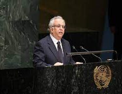 أبو الغيط يستقبل المبعوث الأممي لعملية السلام ويحذر من التطرف اليميني ضد الفلسطينيين