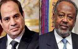 مدير فرع هيئة القصيم يزور هيئة الشماسية ويتفقد العمل الميداني